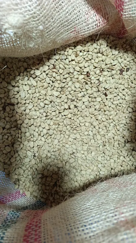 Café Verde